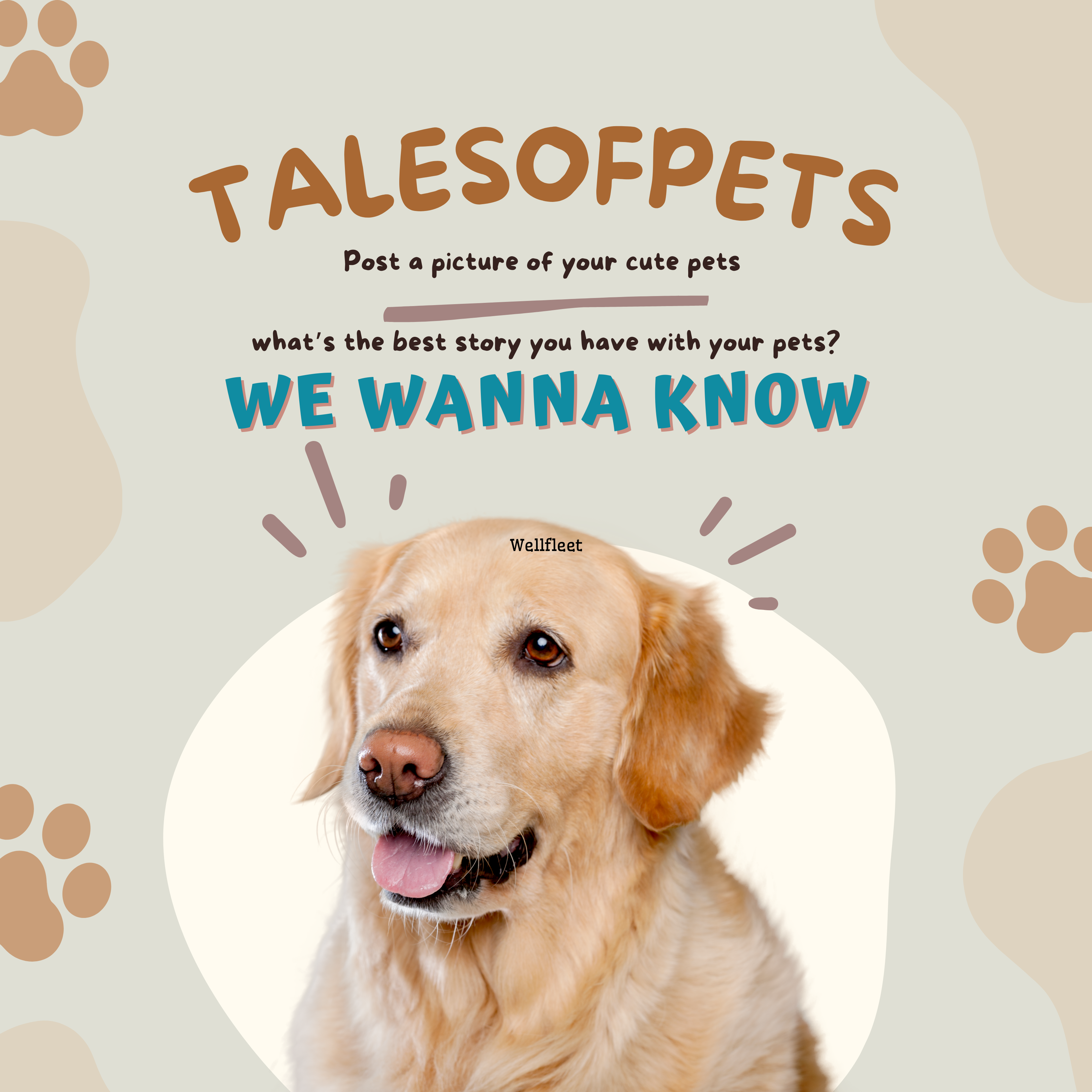 labrador sitting in a poster of tales of pets in which writen people to tell their pet stories