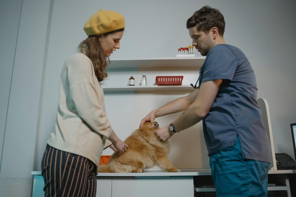 a lady standing next to her puupy which is geeting vaccinated by a male vet standing ahead
