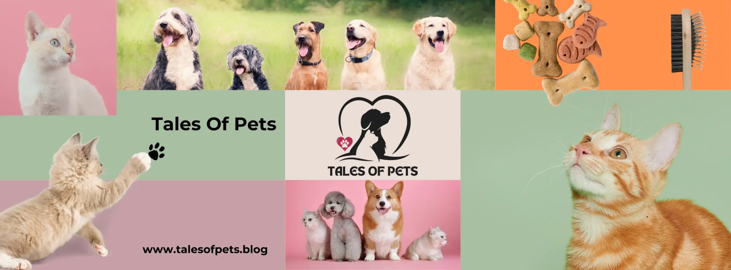 Banner of Tales of Pets